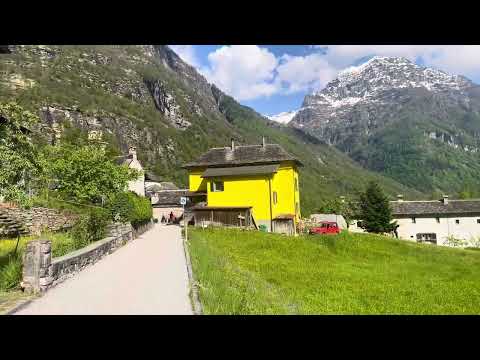 Ciwan Haco • Nisrîne