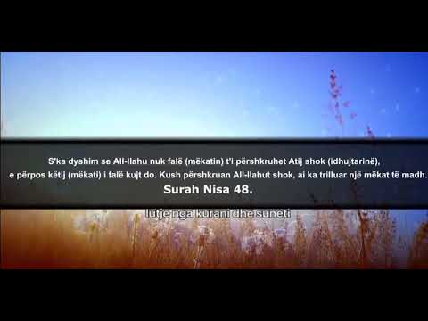 3.#Pyetje - kam rene ne shirk te vogel.. - Rexhep Memishi