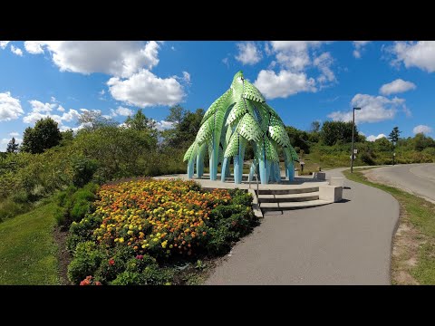 Riverwood Trail by bike - Mississauga, ON, Canada - HD