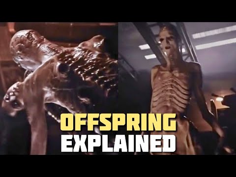 What is the Offspring from Alien Romulus?