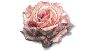 Jaclyn Gee - Restless (High Quality)