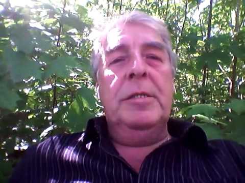 Herzkristall Coaches 2