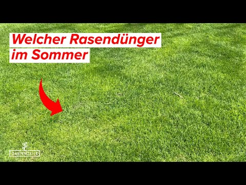 Welcher Rasendünger im Sommer ? Wann solltest du im Sommer deinen Rasen düngen?