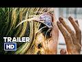 Best MONSTER ALIEN Movies 2024 Trailers