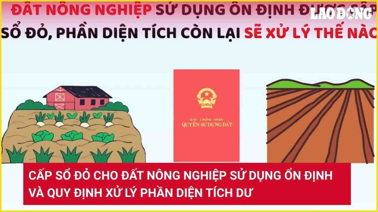 Cấp sổ đỏ cho đất nông nghiệp sử dụng ổn định và quy định xử lý phần diện tích dư
