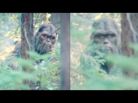 THIS Is The Clearest Bigfoot Footage From 2026, Story Behind It Will Terrify You - Sasquatch Story