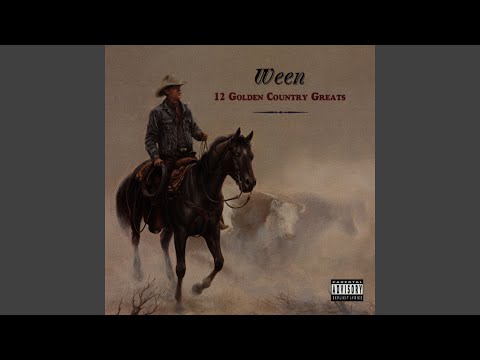 Japanese Cowboy - Ween