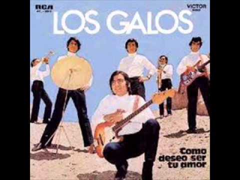 Los Galos Amor Amor Amor - Los Chunguitos