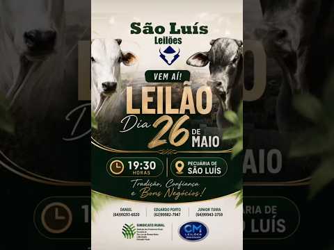 São Luis de Montes Belos - GO   26/05/2026