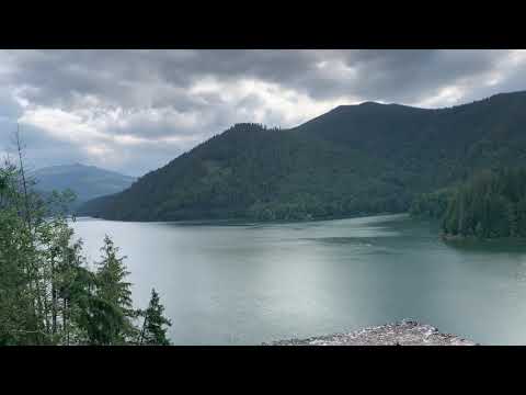 NOU!!! Daniel Hîrtie - Mi-ai pus țel și dor în suflet ( cu acordeon )