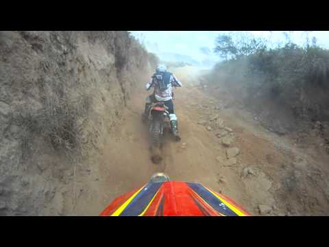 Alphaville 11.09.2011