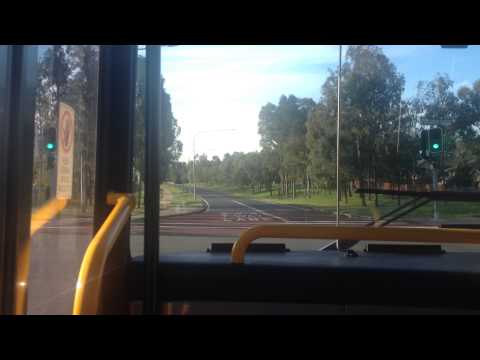 [Route 800] Transit Systems Sydney Volgren CR228L, MAN 18 320 HOCL R NL
