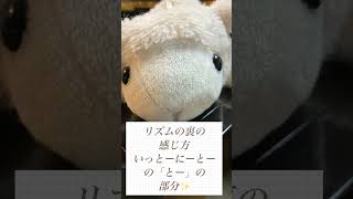 リズムの裏ばなし😆#shorts#ピアノ#日常vlog#カーニバル#ハラミちゃん