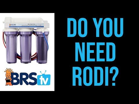 Do You Really Need RODI Water for Saltwater Tank? PT1: BRStv Guide to RODI Systems & Reef Tanks
