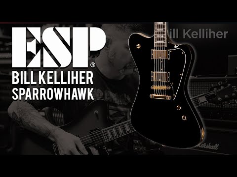 LTD Bill Kelliher Sparrowhawk Demo