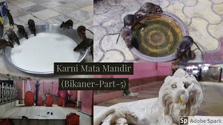 preview picture of video 'Karni Mata Mandir'
