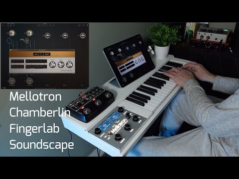 Mellotron Chamberlin Fingerlab Ambience - Mellowsound, iPhilicorda, AUM, Boss RE-202 Space Echo