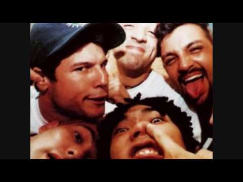 Joelho video