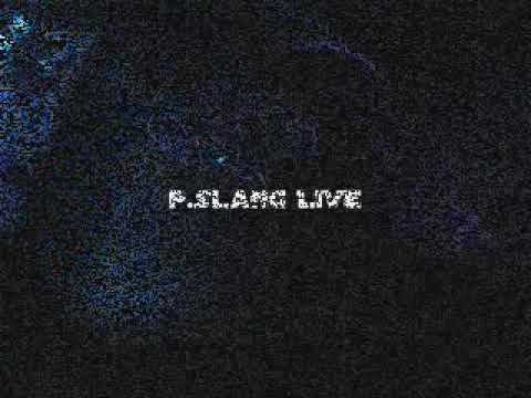 P. Slang live @ P. Slang´s B-Day   Clubhouse Wernigerode  07.12.2007