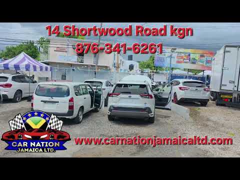 The Car Nation Jamaica Ltd Team