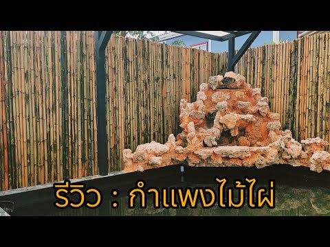 รีวิว : กำแพงไม้ไผ่ตกแต่งบ่อปลา