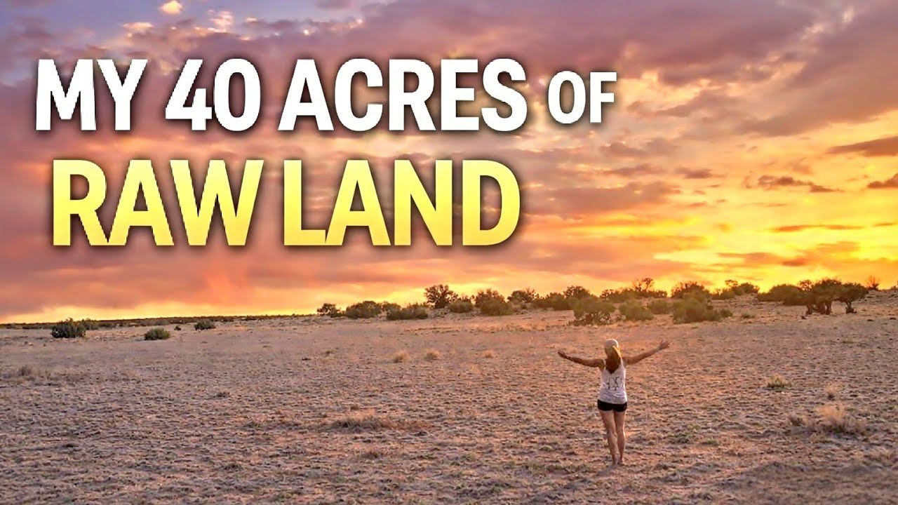 My 40 Acres Of Off Grid Land & Future Homestead