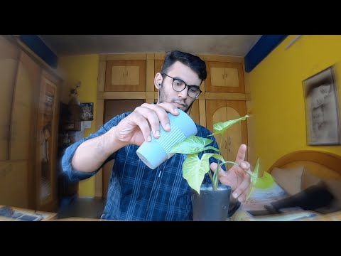 How to bring your Life back on Track?