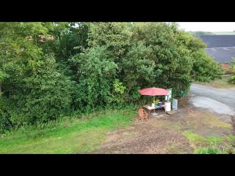 Saugstrup Pluk Selv Blomster