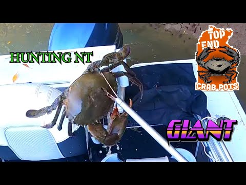 OVERNIGHT MUD CRABBING MISSION CATCH AND COOK crabs *****