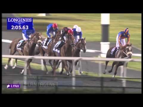 02.03.2013 Meydan (Dubai-UAE) 4.Race Gloria De Campeao - 2.000 m