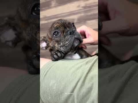 Video 4