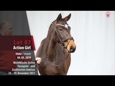 Youngster- und Zuchtstuten-Auktion Lot 07 Action Girl Stute v. All Music - Novelo JMen