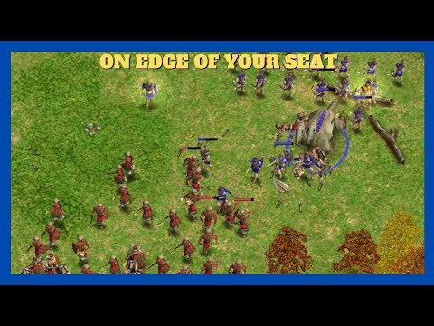 Insanely Close Ending | Nullus (Zeus) vs Shelty (Thor) Game 2/5 #aom #ageofempires