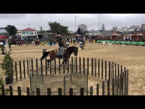 Speed test of working equitation