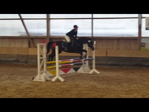 Unser erstes A-Springen (Stilspringen nach WBO 265)