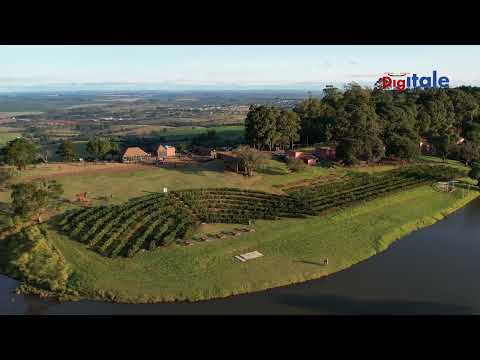 Cuesta Café Pardinho SP