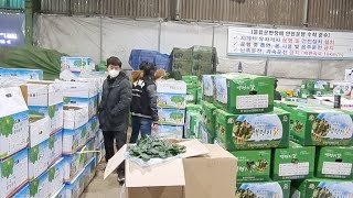 연암대생 가락시장 경매 도전기