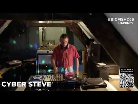 Cyber Steve | Big Fish on-line Edition