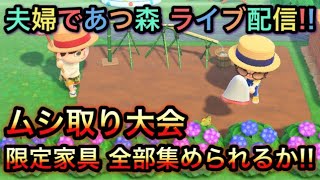夫婦であつ森ライブ配信♪ムシ取り大会に初チャレンジ!!
