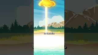 Why Do Dead Whales Explode (Disgusting)🤢 #shorts