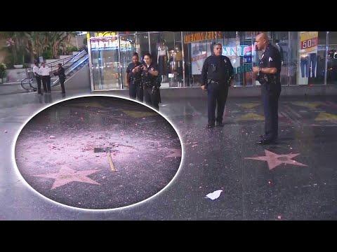 Donald Trump's Hollywood Walk of Fame Star Destroyed With Pickaxe