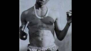 2pac  -  Hell 4 A Hustler