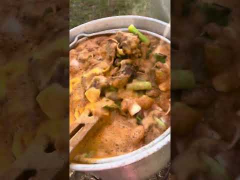 HOW TO BOIL THE BEST TURKEY NECKS DOWN SOUTH