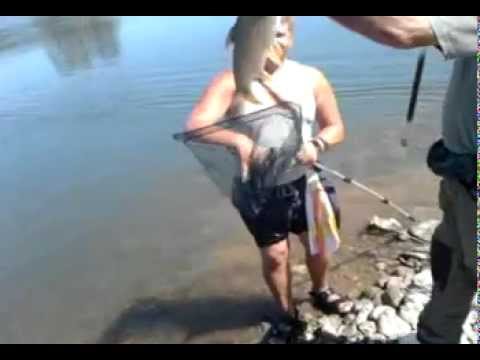 avuni vadi mrenu na drini