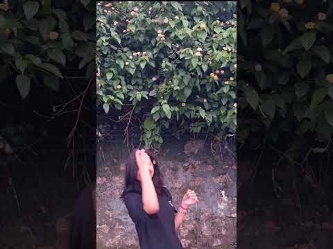 ❤️❤️#trendingshorts #shorts