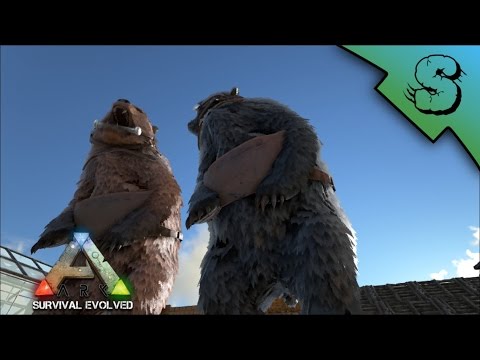 Taming a Direbear w/Bearded Kitty! | Ark: Survival Evolved [E8]