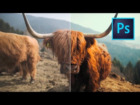 How to make your PHOTOS look CINEMATIC FAST using LUTS in Photoshop!