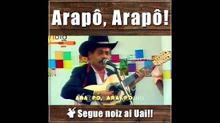 Download lagu Tião Carreiro & Pardinho - Arapô #seinscrevam #raíz mp3