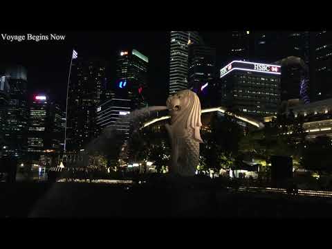 Night Walk to Singapore Merlion | Chathu & Ishanka