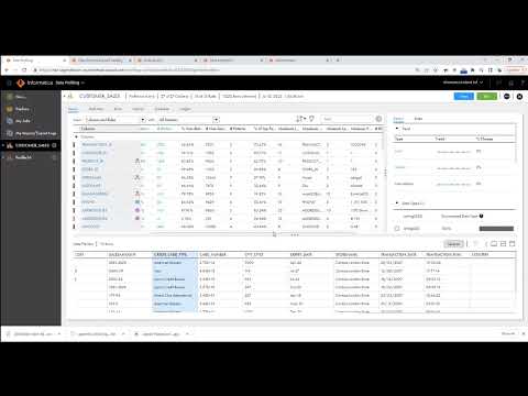 Informatica Cloud Data Quality Demo